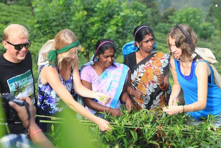 Private Galle Day Tour with Boat Safari & Tea Factory Visit - All Inclusive - Photo 1 of 12